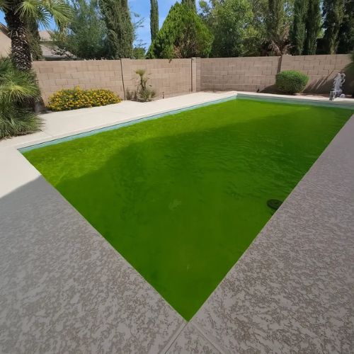 before pool clean Gilbert