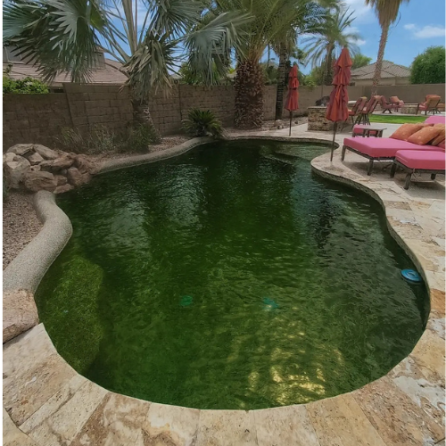 Untitled design pool cleaning service in Gilbert